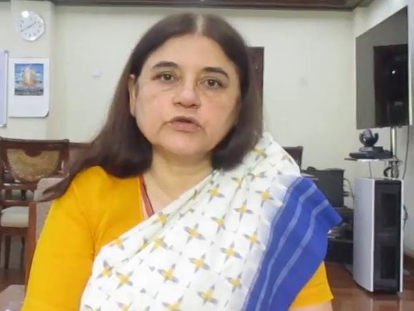 bareilly after scolding ganna kisan on viral video maneka gandhi released a news video with apology bareilly after scolding ganna kisan on viral video maneka gandhi released a news video with apology