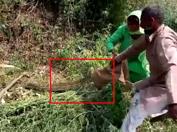कई बार की वन विभाग से शिकायत