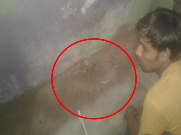 दहशत में जी रहे हैं मोहल्ले वाले