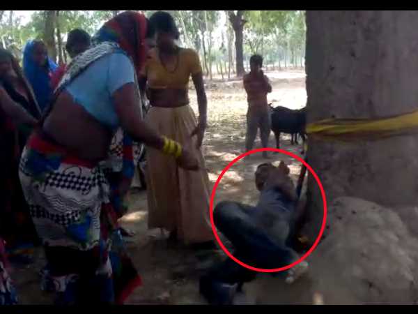 A wife beaten her husband with a tree in Sant Kabir Nagar A wife beaten her husband with a tree in Sant Kabir Nagar
