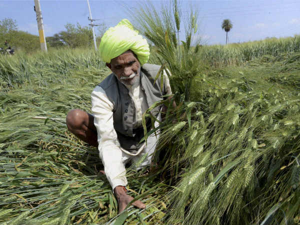 कितना मुआवजा मिलेगा