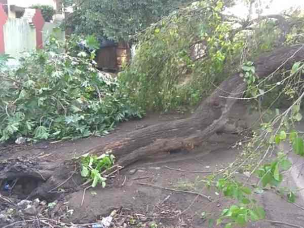 Three killed in storm in Sambhal Three killed in storm in Sambhal