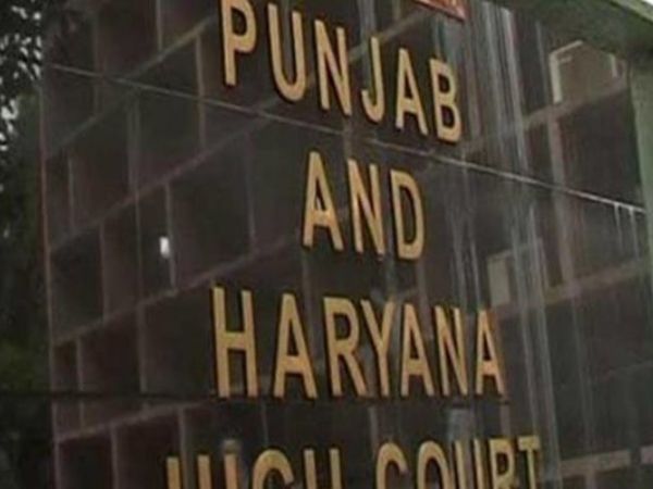 अप्राकृतिक साधनों का प्रयोग दूसरे साथी के लिए पीड़ा दायक