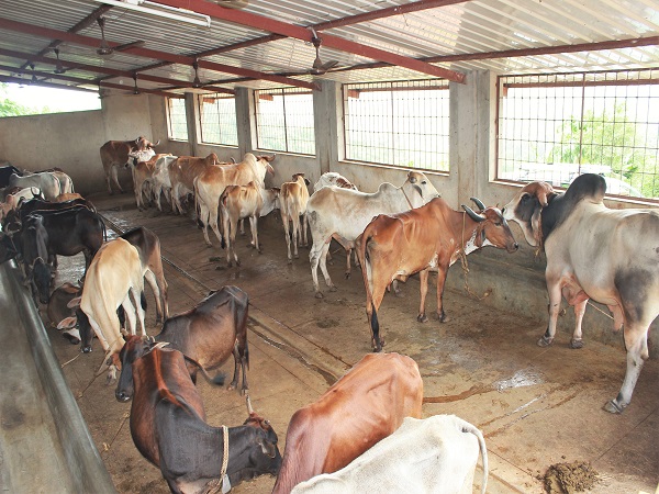 अंतिम फैसला सीएम वसुंधरा राजे को लेना है