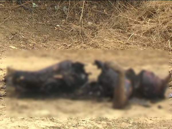 भगुआ नगला मोहल्ले का मामला