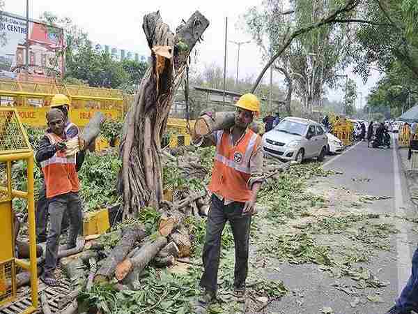 दिल्ली हाई कोर्ट में अगली सुनवाई 4 जुलाई को