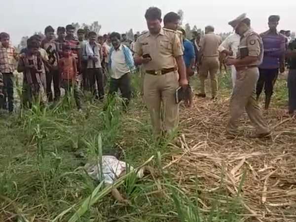 kill the teenager after rape and throw it in the farm in shahjahanpur kill the teenager after rape and throw it in the farm in shahjahanpur