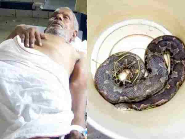 A man died due to snake bite in Bihar A man died due to snake bite in Bihar