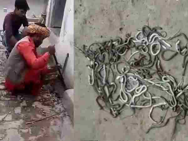 पड़ोसियों के घर में लिया आसरा