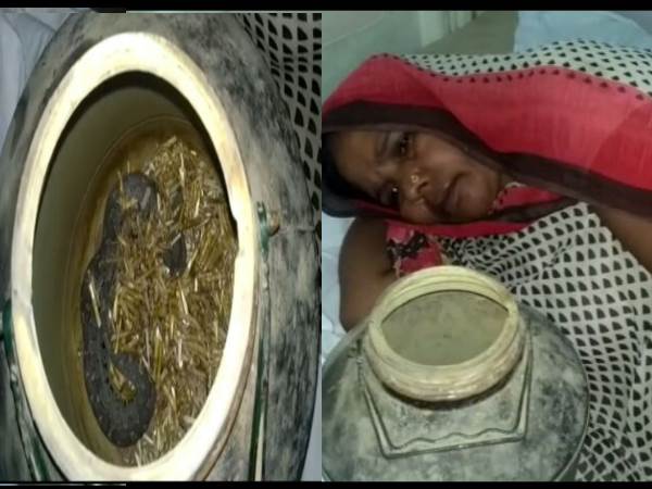 bahraich after snake bite woman reached hospital with it bahraich after snake bite woman reached hospital with it