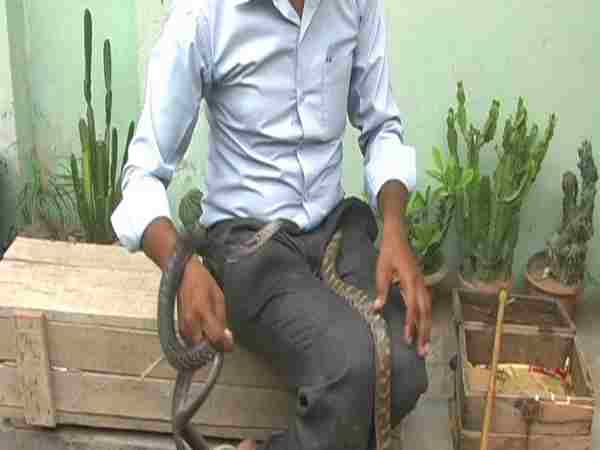 शैलेंद्र बने सांपों के मसिहा
