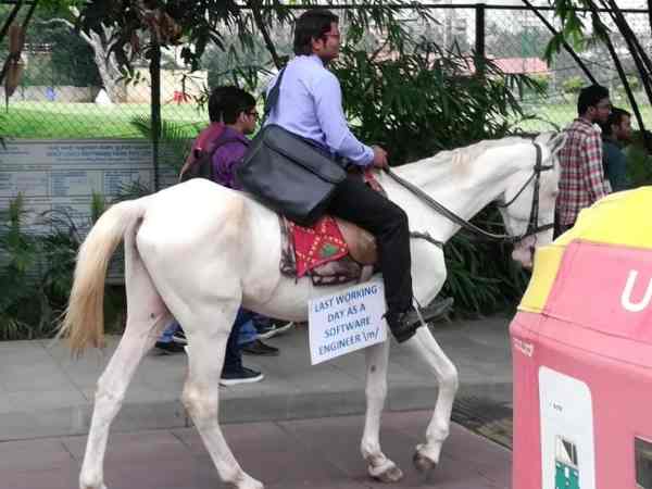 Software engineer went on horse on last working day viral Software engineer went on horse on last working day viral