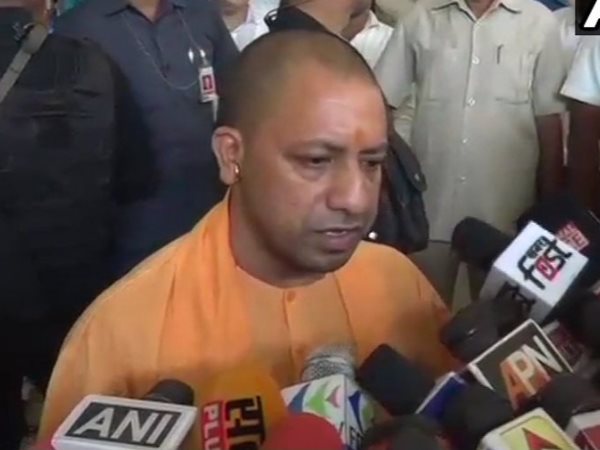 yogi yogi