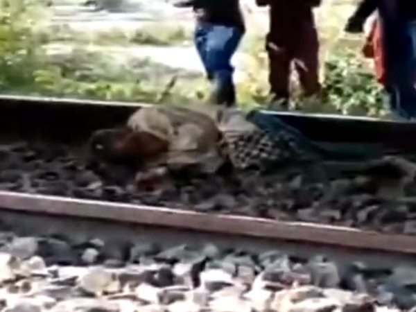 whole train passed over the man, but nothing happend to him, video whole train passed over the man, but nothing happend to him, video