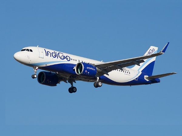 Indigo Indigo