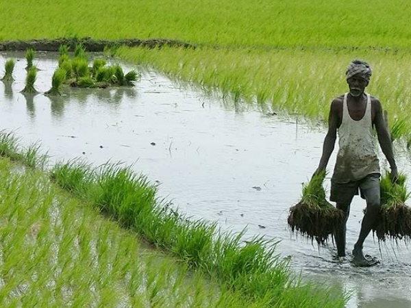 आवेदन शुल्क और चयन प्रक्रिया