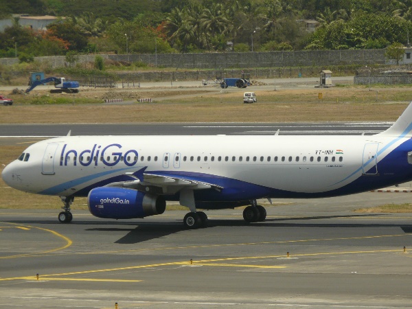 Indigo Indigo