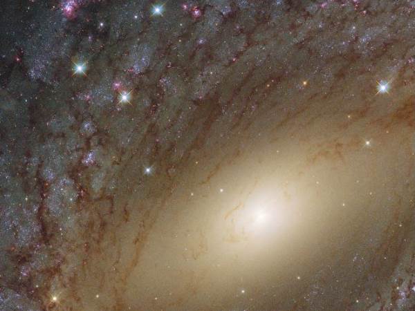 ESA ने जारी की NGC 6744 आकाशगंगा की अद्भुत तस्वीर ESA ने जारी की NGC 6744 आकाशगंगा की अद्भुत तस्वीर