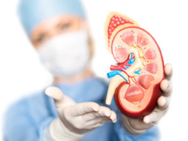 delhi Fortis Hospital removes 856 stones from man’s kidney delhi Fortis Hospital removes 856 stones from man’s kidney