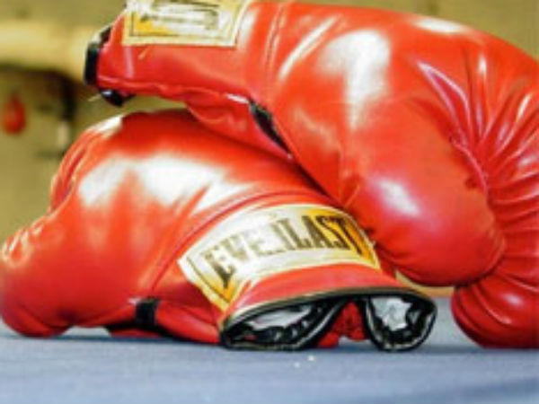 boxer boxer