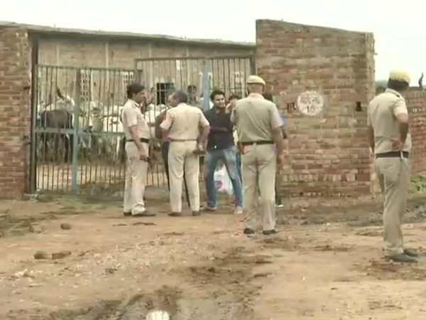 दिल्ली: गौशाला में 36 गायों की मौत, सरकार ने दिए जांच के आदेश दिल्ली: गौशाला में 36 गायों की मौत, सरकार ने दिए जांच के आदेश