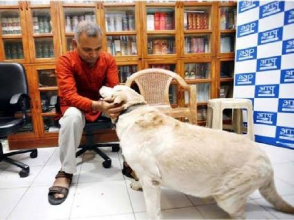 Somnath Bharti Pet Dog Dies, was Wanted In Domestic Violence Case once Somnath Bharti Pet Dog Dies, was Wanted In Domestic Violence Case once