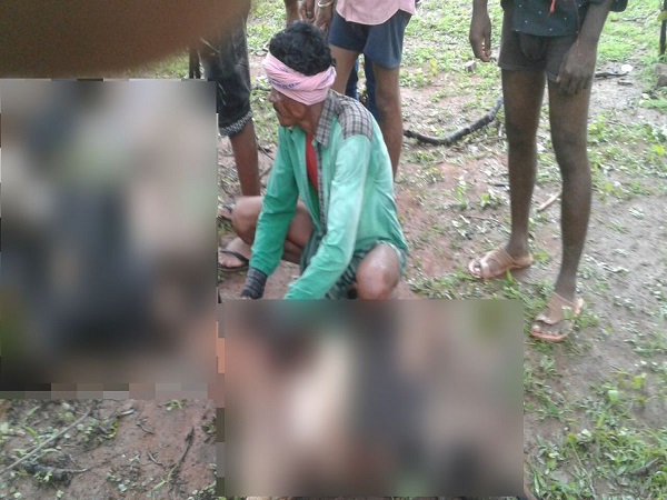 Chhattisgarh: 77 goats killed in lightning strike in Rajnandagaon Chhattisgarh: 77 goats killed in lightning strike in Rajnandagaon