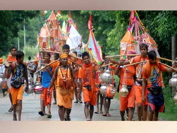 up police searching for bhang tree before kanwar yatra up police searching for bhang tree before kanwar yatra