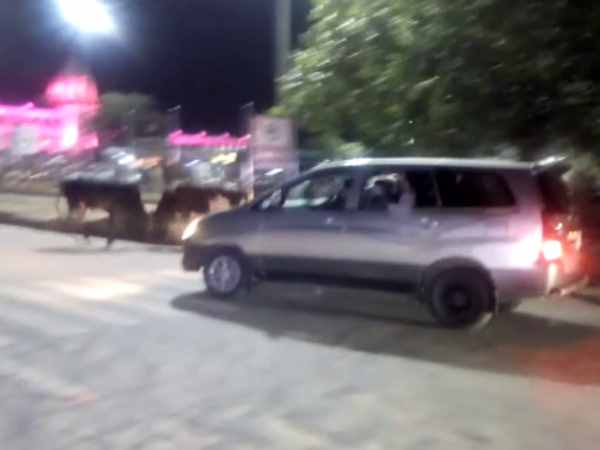 bull fight before pm modi convoy in varanasi bull fight before pm modi convoy in varanasi
