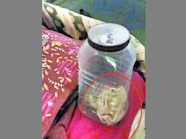 वरिष्ठ सर्जन डॉ. सुषमा को दिखाया गया
