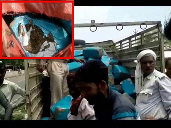 kanpur truck loaded with weed got accident kanpur truck loaded with weed got accident