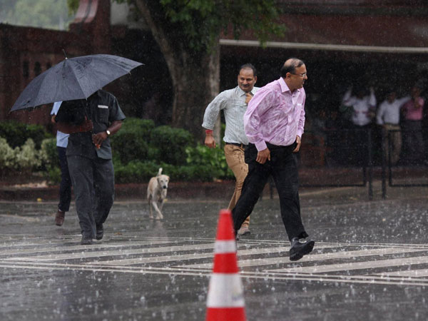 अगले 48 घंटे एमपी पर भारी, बन सकते हैं बाढ़ जैसे हालात अगले 48 घंटे एमपी पर भारी, बन सकते हैं बाढ़ जैसे हालात