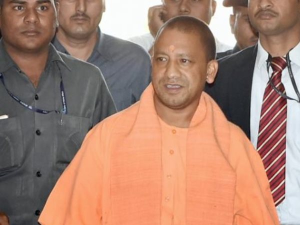 yogi yogi