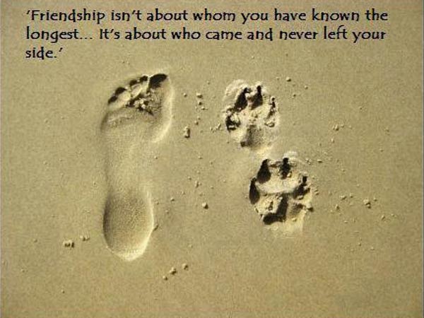 Friendship Day पर भेजिए दोस्तों को प्यार भरे ये संदेश Friendship Day पर भेजिए दोस्तों को प्यार भरे ये संदेश