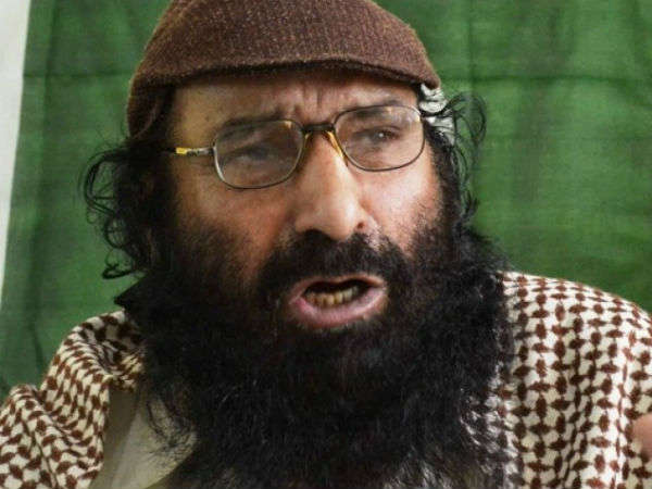 कौन है सैयद सलाउद्दीन