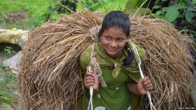 उत्तराखंड के पहाड़ी इलाकों में दम तोड़ती खेती उत्तराखंड के पहाड़ी इलाकों में दम तोड़ती खेती