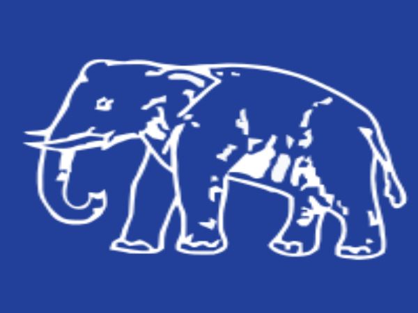 bsp bsp