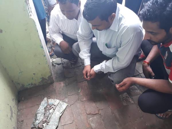 देखने के लिए लगा हुजूम