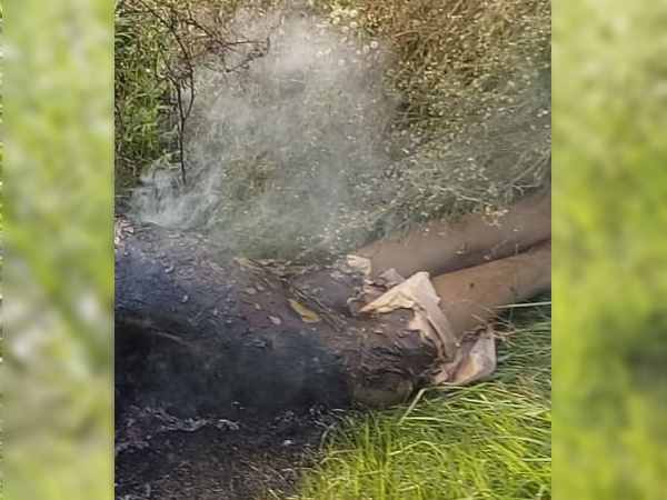 Woman burnt dead body found in etawah Woman burnt dead body found in etawah