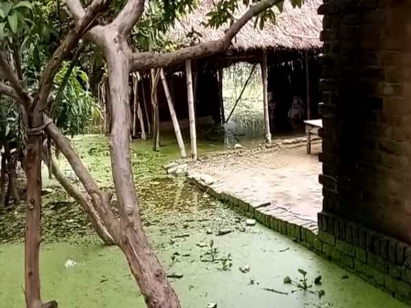 मुसाफिरखाना तहसील क्षेत्र का मामला