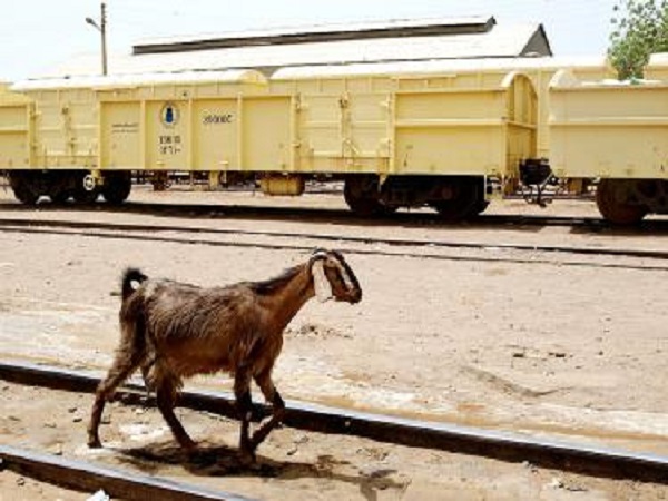 goat caught without ticket during its journey, auctioned by indian railway goat caught without ticket during its journey, auctioned by indian railway
