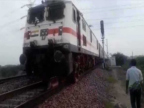 Kalka-Shatabdi Express runs over 20 cows in delhi, route affected Kalka-Shatabdi Express runs over 20 cows in delhi, route affected
