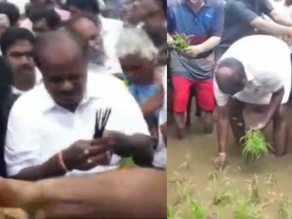 किसान बने कर्नाटक के सीएम, खेतों में की धान की रोपाई, 2 महीने में सभी जिले के किसानों से मिलेंगे किसान बने कर्नाटक के सीएम, खेतों में की धान की रोपाई, 2 महीने में सभी जिले के किसानों से मिलेंगे