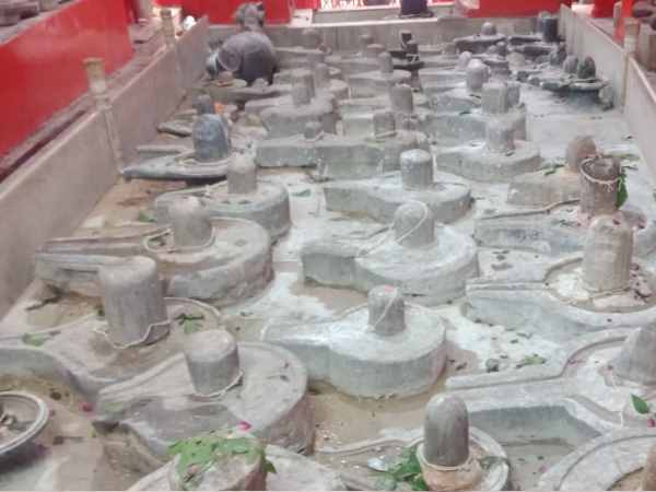 sawan special kashi vishvanath temple Ganga Sagar Yatra sawan special kashi vishvanath temple Ganga Sagar Yatra