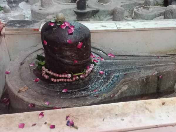 sawan special kashi vishvanath temple Ganga Sagar Yatra sawan special kashi vishvanath temple Ganga Sagar Yatra