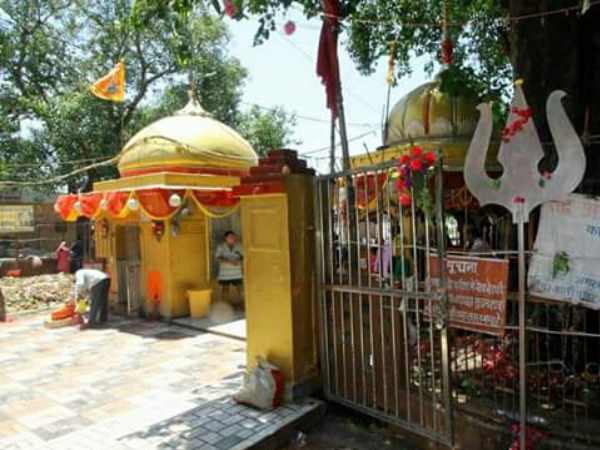 पूरे वर्ष कार्यक्रम