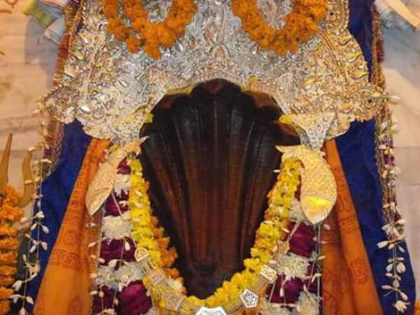 कैसे प्रयाग आये नाग वासुकी