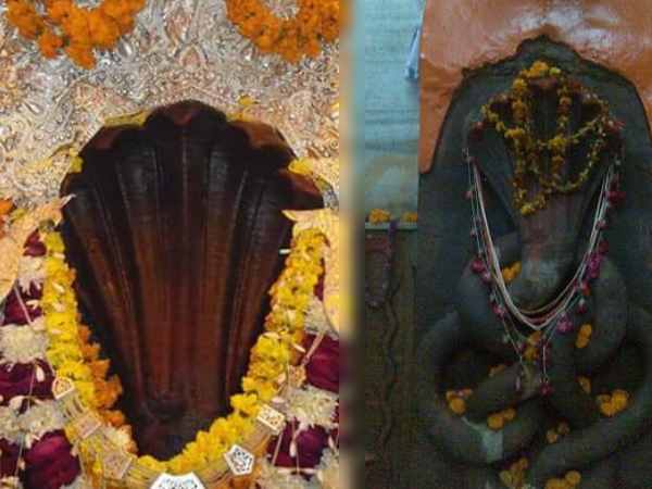 मंदिर में है शेषनाग और वासुकीनाग की मूर्तियां