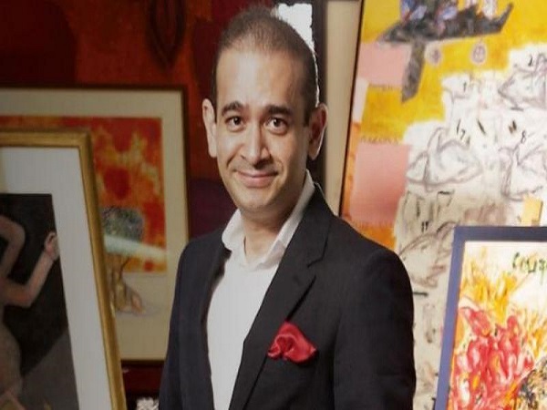 pnb scam: uk confirms nirav modi presence, cbi moved for extradition pnb scam: uk confirms nirav modi presence, cbi moved for extradition