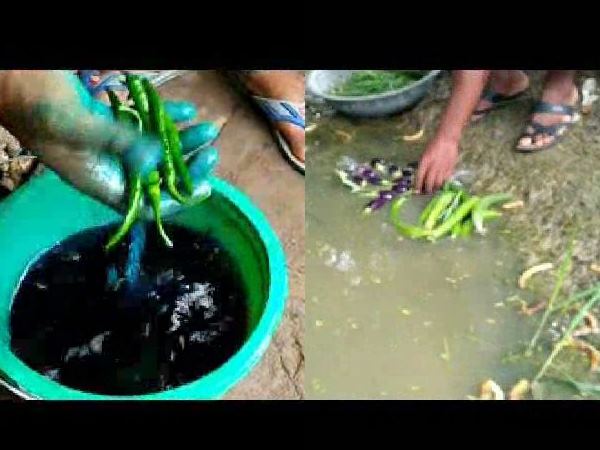 kanpur This video will tell the vegetables which you are eating as green and fresh, how poisonous they are kanpur This video will tell the vegetables which you are eating as green and fresh, how poisonous they are